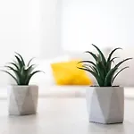 Elli's Apartament *