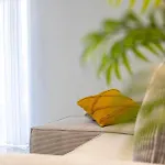 Apartament Elli's *